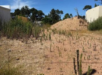 RDP-RD1-863_2 · Venta Terreno Burnett