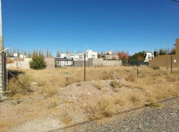Terreno · 375m² · Terreno en Las Lilas Plottier