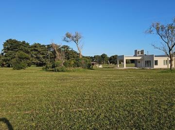 Terreno · 400m² · Terreno en Venta - 400 m² - Miramar