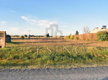 Terreno · 1100m² · Terreno en La Faustina