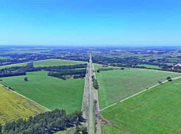 Campo · 2360000ha · Mar del Plata - 236 Ha Agricola Sobre Ruta.