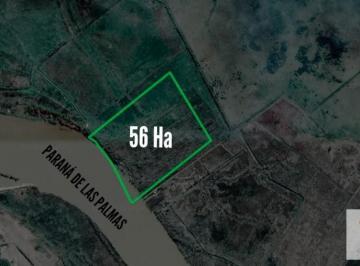 Campo · 560000ha · Campo en Venta - 56 Ha - Zarate