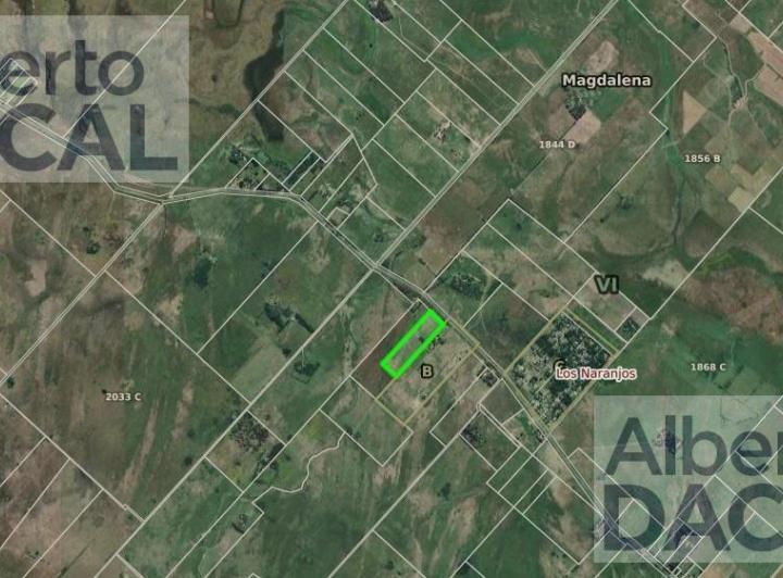 Terreno · 20000ha