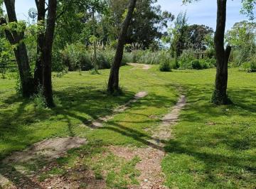 Terreno · 800m² · Terreno en Venta - 800 m² - Berisso