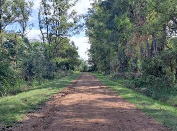 Terreno · 5000m² · Terreno en Venta - 5.000 m² - El Remanso, Exaltación de La Cruz