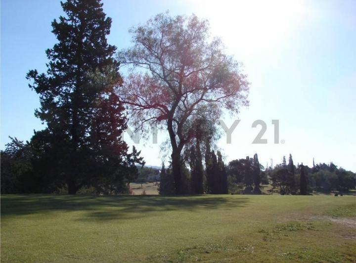 Terreno · 1090m²
