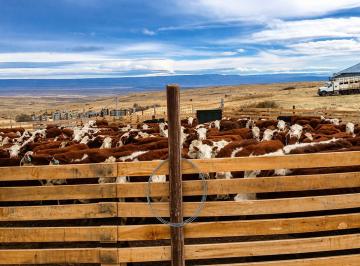 Campo de 3 ambientes, El Calafate · Campo El Calafate 10040 Hectáreas Santa Cruz Patagonia