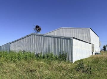 Bodega-Galpón · 378m² · Nave Industrial 378 m² - Criadero de Pollo - Ibarlucea