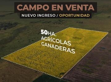 Campo , Bernardo de Irigoyen · Bdo de Irigoyen 50 Has Mixtas. Pcia. Santa Fe. Campo en Venta. Oportunidad