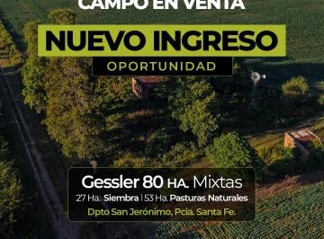 Campo , Gessler · Gessler 80 Has Mixtas. Campo en Venta