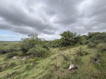 TBR-TBR-5524_2 · Venta Chacra 12 Hectáreas Las Cañas