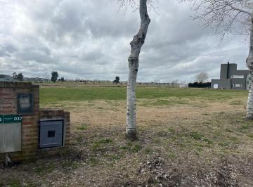 Terreno · 1000m² · Venta Lote en Haras del Sur III