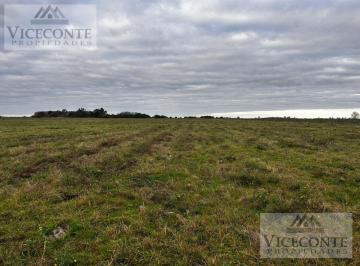 Campo , Berisso · Campo Mixto 224 Ha Vergara, Magdalena. Provincia de Buenos Aires.