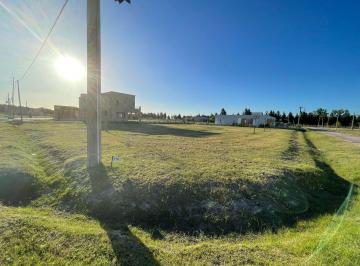 Terreno · 1345m² · Terreno en Venta en Fincas de San Vicente