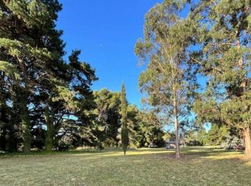 SCB-SCB-480_2 · Lote. | Av de La Rivera