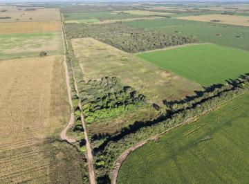 Campo , Colonia Caroya · Se Venden 30has en Colonia Caroya