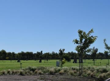 Terreno · 642ha · Venta de Terreno en Panamericana