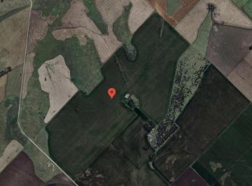 Campo · 1640000m² · Campo de 164 Ha en Balcarce