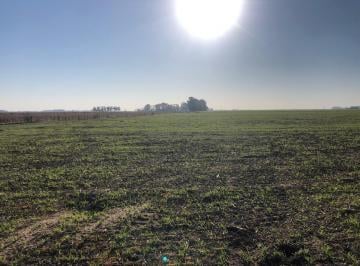 Campo · 1100000m² · Campo en San Enrique