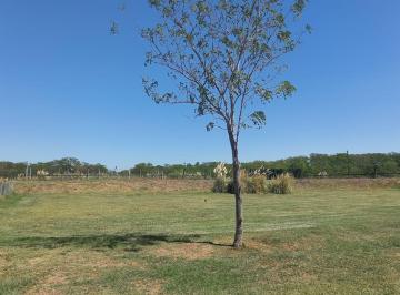 Terreno · 893m² · Lote en Venta en San Sebastian, Area 9