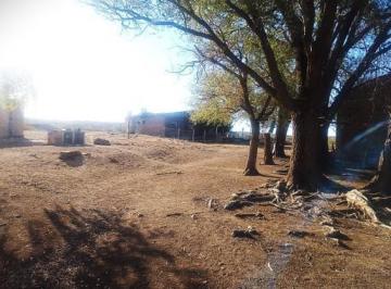 Campo · 60m² · 2 Dormitorios · Campo 5.300 Has, Ganaderas, Los Menucos, Región Sur Línea Patagónica.
