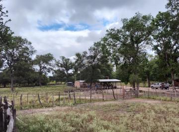 Campo · 150m² · 4 Ambientes · Campo, 2087 Ha, Ganadera, Laguna Gallo, Departamento Pilagás, Formosa