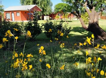 Casa de 6 ambientes, San Rafael · Vendo Complejo de Cabañas en Funcionamiento en Zona Turistica