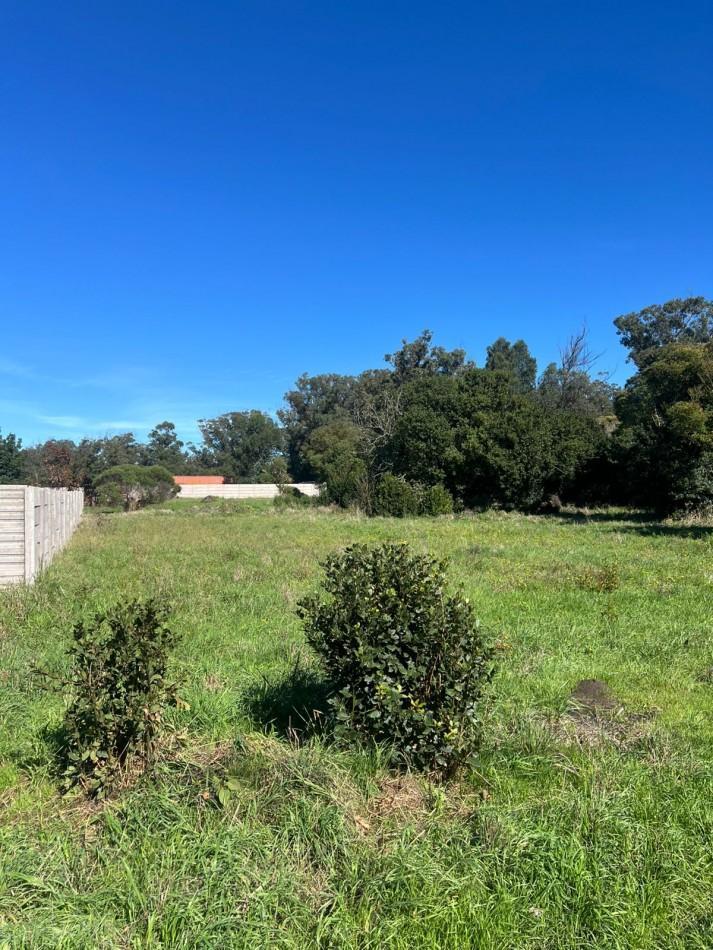 Terreno 459m² en Parque Peña, Mar del Plata, a tres cuadras del mar