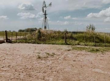 Campo · 1730000m² · Campo en Venta - 173 Hectáreas - Gonzalez Risos