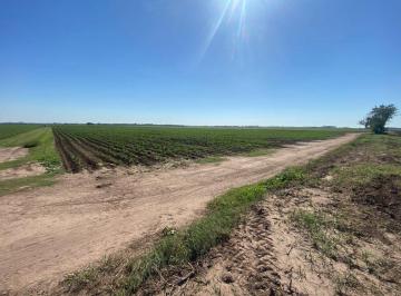 Terreno · 22000m² · Campo Venta Aut Ros Bs As Gral Lagos 2,2 Ha
