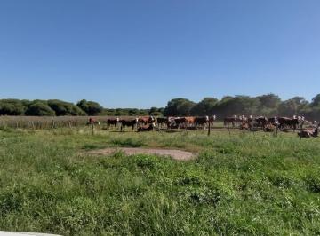 Campo · 60560000m² · 10 Ambientes · Campo en Venta - 6.056 Hectáreas - San Justo