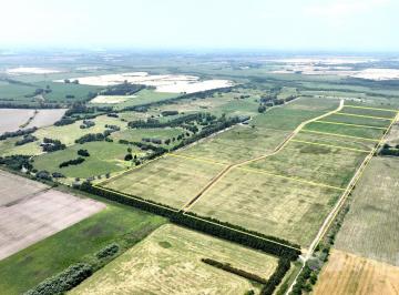 Campo · 60000m² · Chacras Alomadas con Acceso Al Arroyo de La Cruz