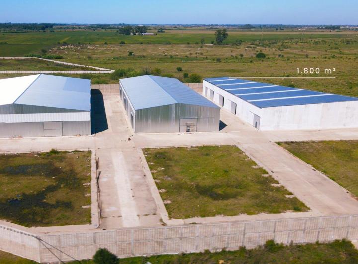 Bodega-Galpón · 1800m²