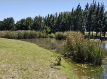Terreno · 1379m² · Terreno en Venta - 1.379 m² - Club Miralagos