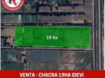 Campo · 20m² · 3 Ambientes · Chacra - Viedma