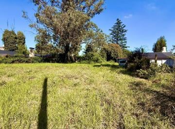 Terreno · 600m² · Terreno