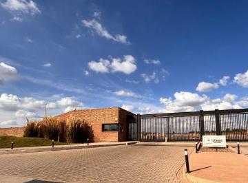 Terreno · 403m² · Lote en Venta en Lomas del Torreón Etapa 1