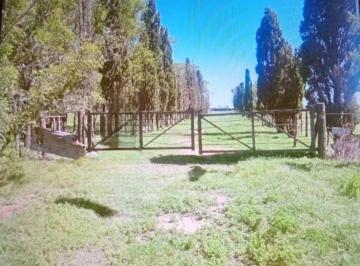 Quinta vacacional de 4 ambientes, La Cautiva · Vendo Quinta Zona Agrícola - La Cautiva Río Cuarto - Córdoba