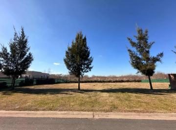 Terreno · Terreno en El Naudir en Venta