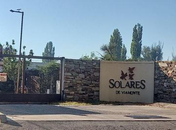 Terreno , Vistalba · Lote en Venta, Chacras de Coria, Luján de Cuyo, Mendoza!