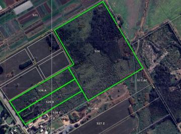 Campo , Pilar · Terreno/campo/fraccion Sobre Ruta 25 Pilar