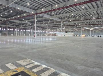 Agustin Mieres Negocios Inmobiliarios · Distribución y Almacenamiento - 24.000 m²