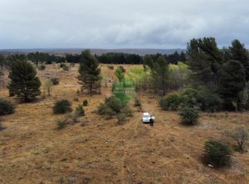 Terreno · 170000m² · Escritura - Costa de Río - Recibe Menor - Los Reartes - 17 Has - Venta - Terreno