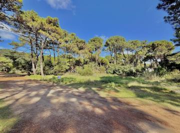 Terreno · 631m² · 3 Lotes Linderos en Pinamar Norte!