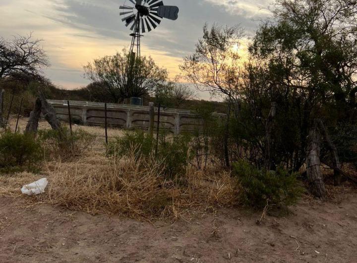 Campo · 332ha