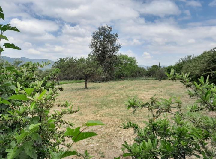 Terreno · 740m²