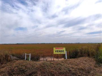 Campo · 41200ha · Campo en San Jerónimo Sud, Sobre Autopista Rosario Córdoba