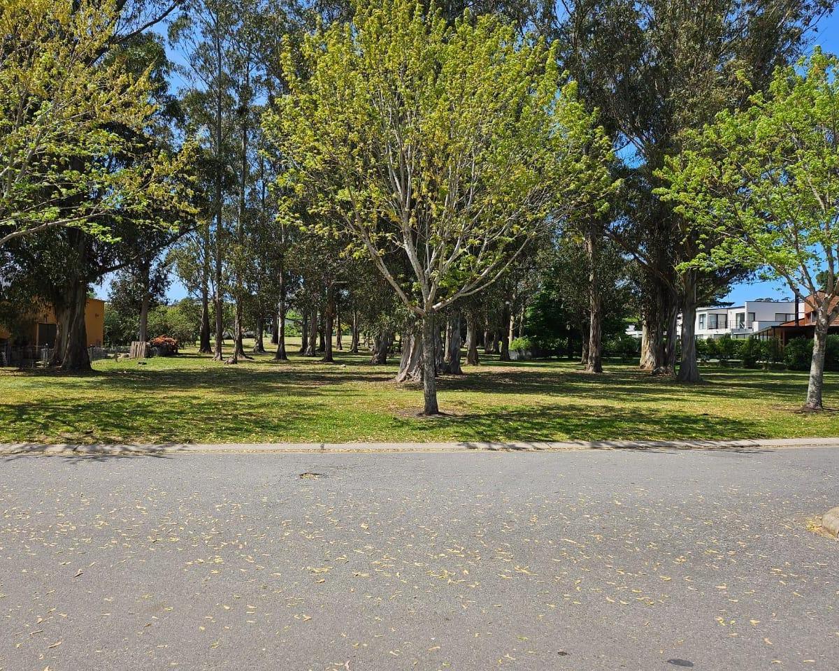 Importante terreno en Arenas del Sur, 974m² con buena arboleda