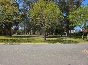 Terreno · 974m² · Importante Terreno Arenas del Sur - 974 m²