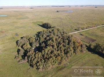 Campo · 7900000m² · Campo Ganadero en Venta 790 Has - Excelente Rentabilidad - Olavarria